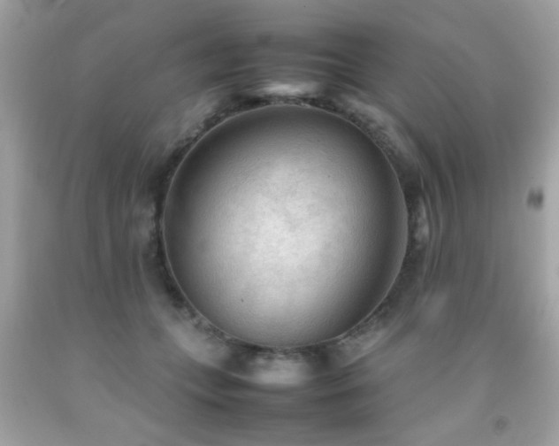 X0000092090559200709121515