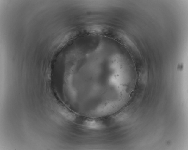 X0000092090561200709121515