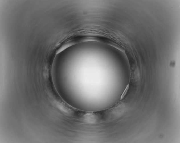 X0000092090562200709121515