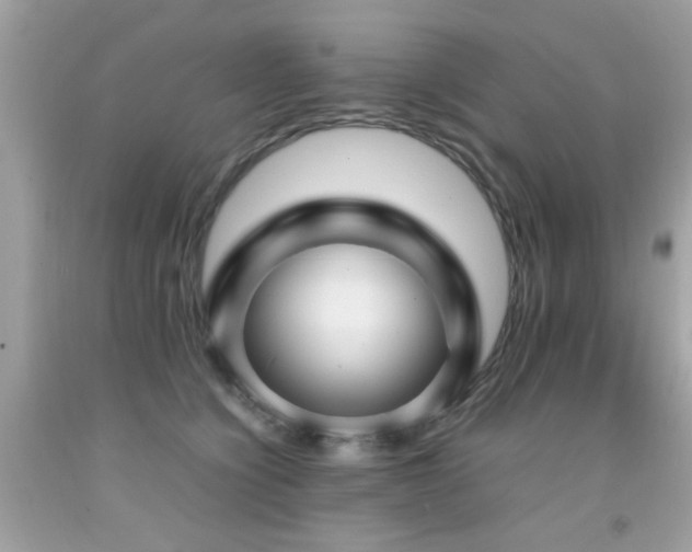 X0000092090564200709121515
