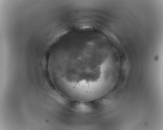 X0000092090565200709121515