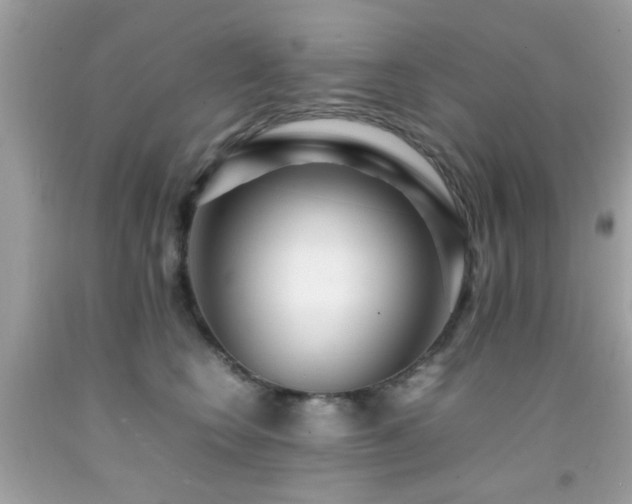 X0000092090566200709121515