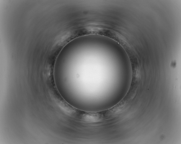 X0000092090567200709121515