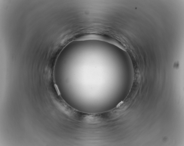 X0000092090568200709121515