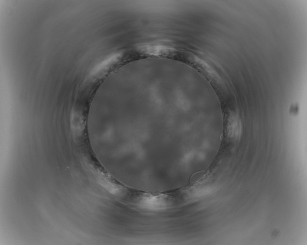 X0000092090569200709121515