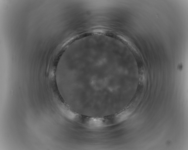 X0000092090573200709121515