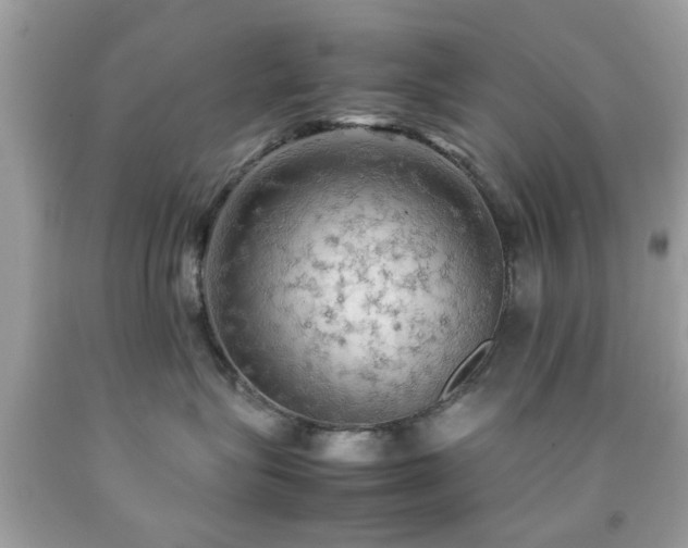 X0000092090575200709121515