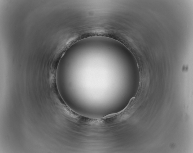 X0000092090576200709121515