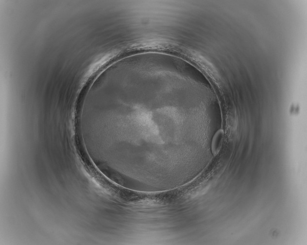 X0000092090578200709121514