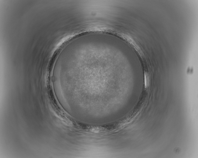 X0000092090579200709121514