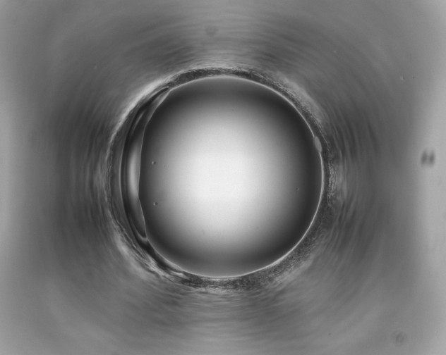 X0000092090580200709121514