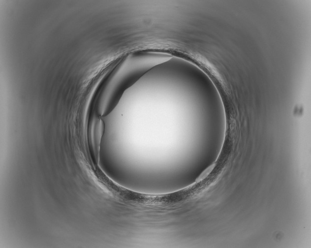 X0000092090581200709121514