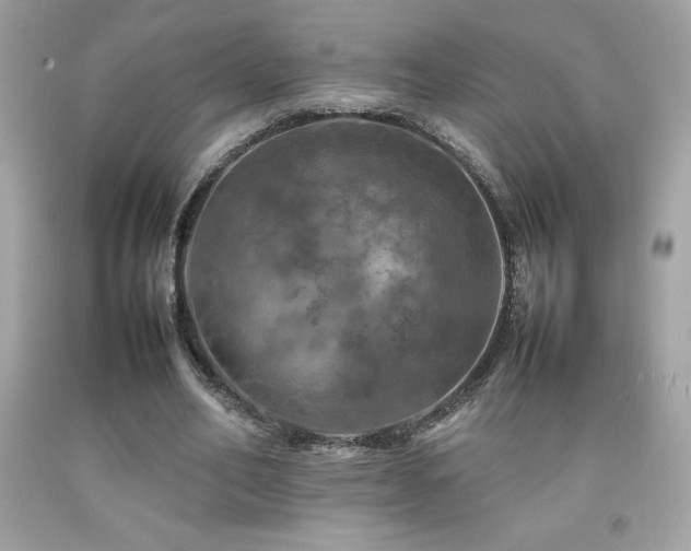 X0000092090582200709121514