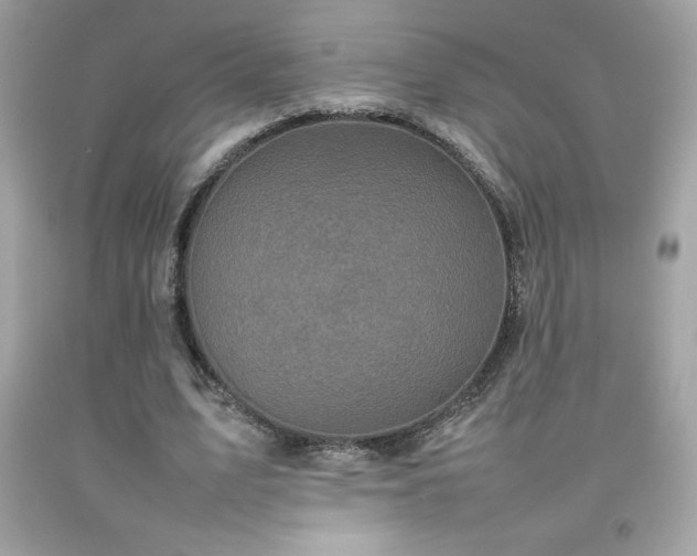 X0000092090583200709121514