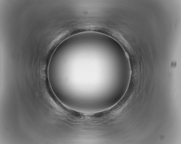X0000092090585200709121514