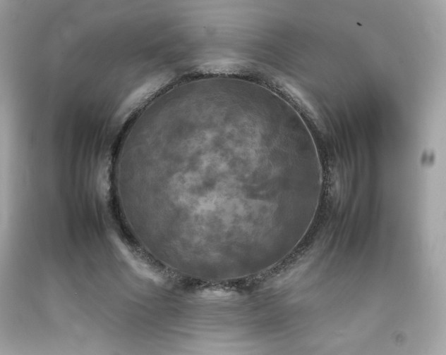 X0000092090586200709121514