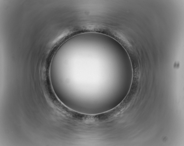 X0000092090587200709121514