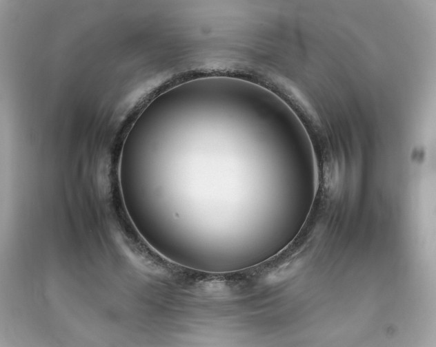 X0000092090588200709121514