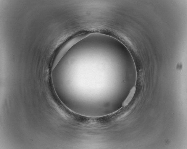 X0000092090589200709121514