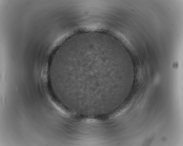 X0000092090590200709121514
