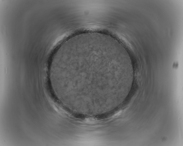 X0000092090591200709121514