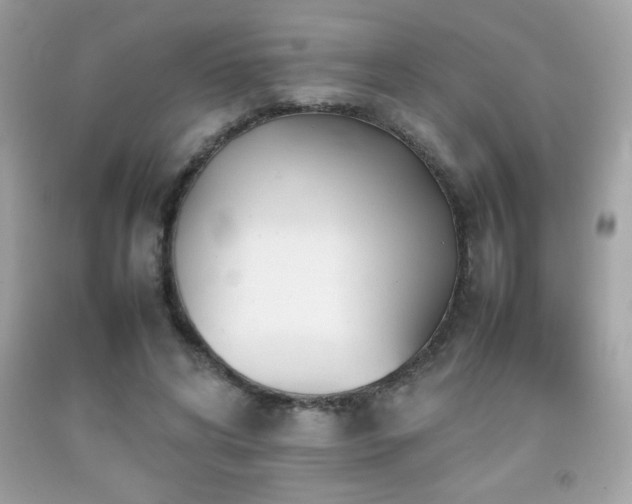X0000092090592200709121514