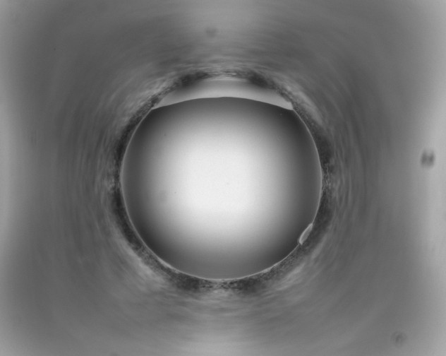 X0000092090593200709121514