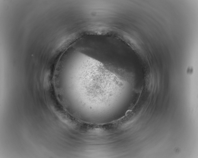 X0000092090594200709121514
