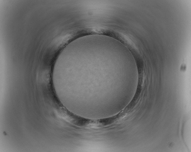 X0000092090595200709121514