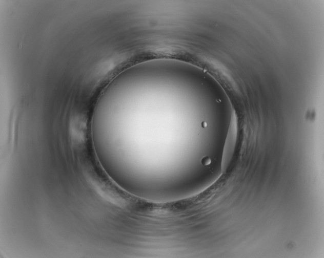 X0000092090596200709121514