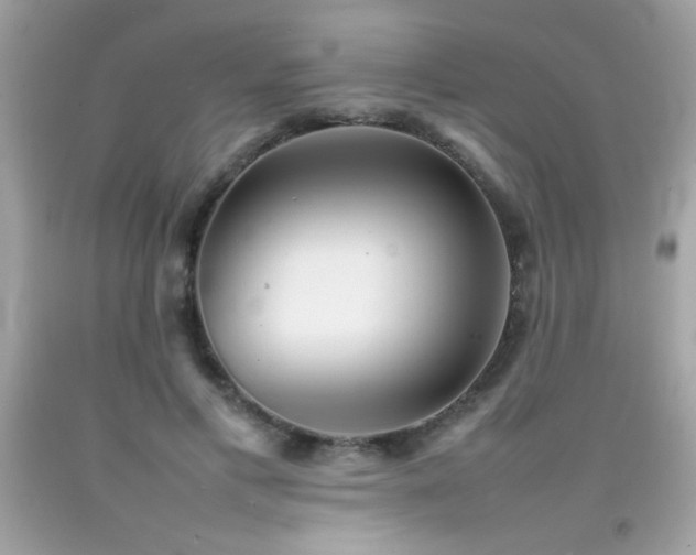 X0000092090597200709121514