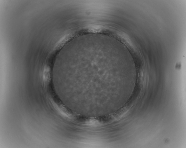 X0000092090598200709121514