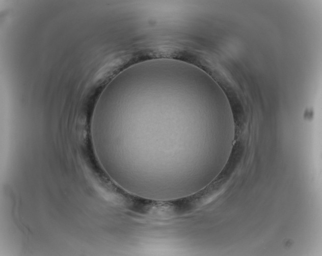 X0000092090599200709121514