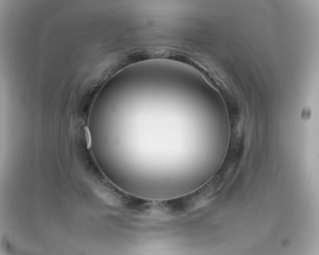 X0000092090601200709121514