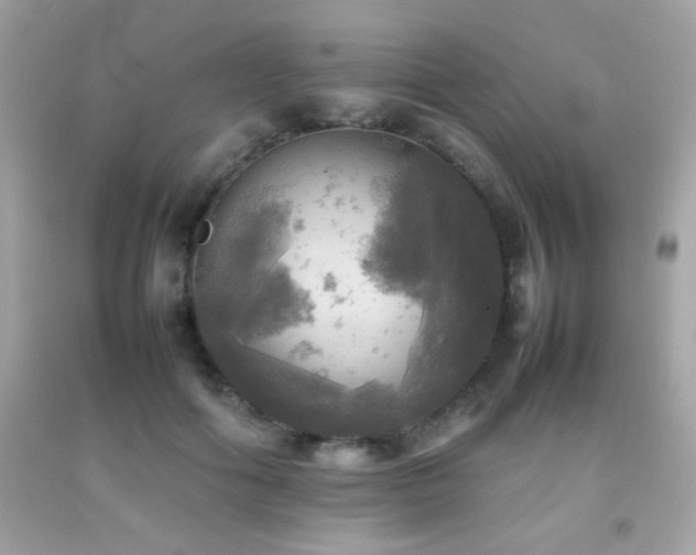 X0000092090602200709121514
