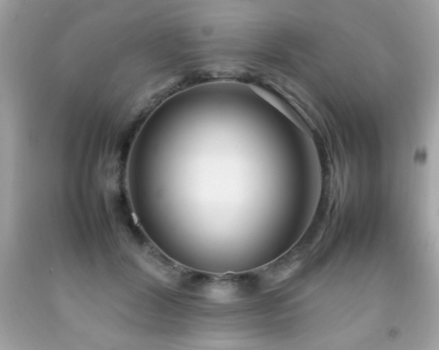 X0000092090604200709121514