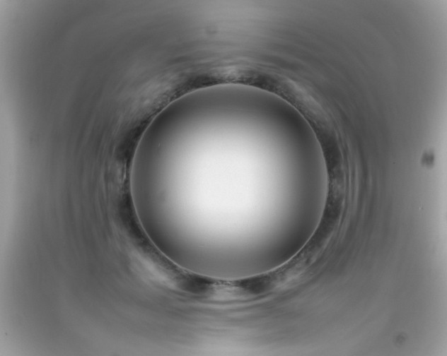 X0000092090605200709121514