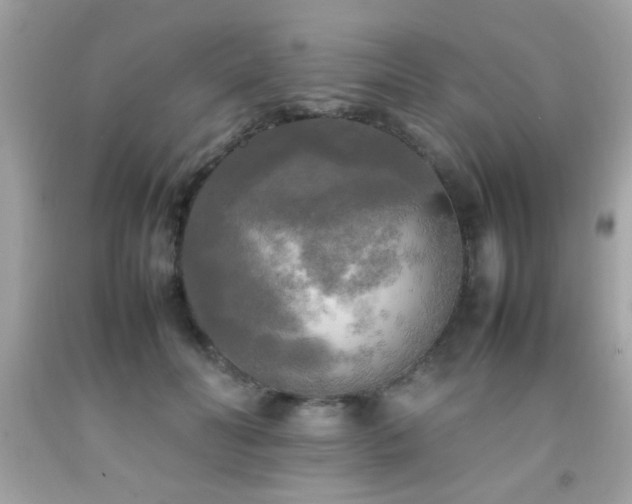 X0000092090606200709121514