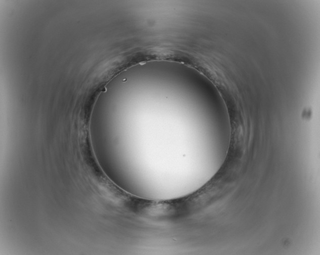 X0000092090609200709121514