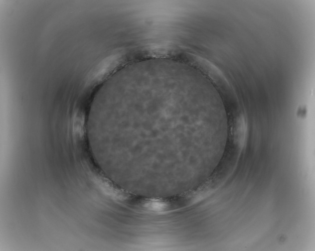 X0000092090610200709121514