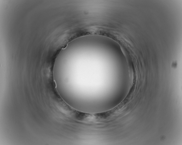 X0000092090611200709121514