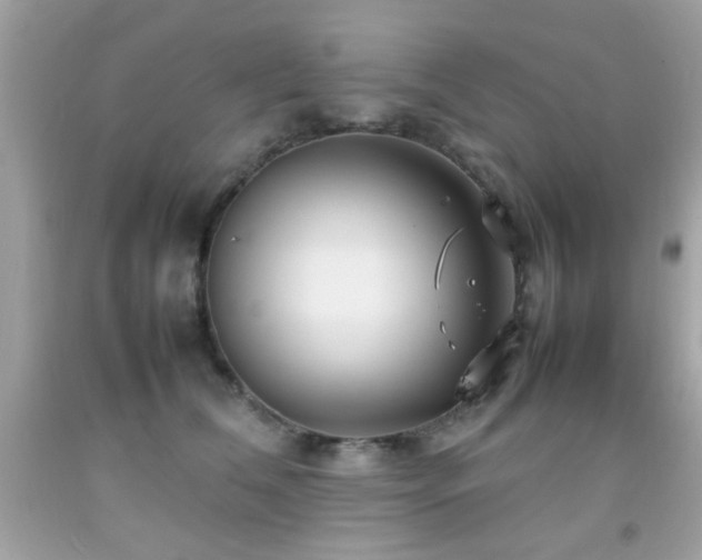 X0000092090612200709121514