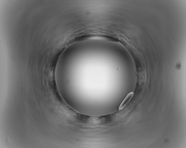 X0000092090613200709121514