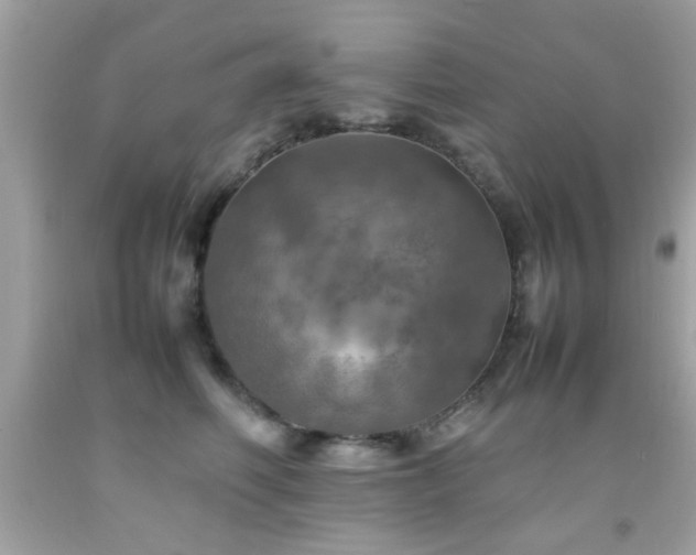 X0000092090614200709121514