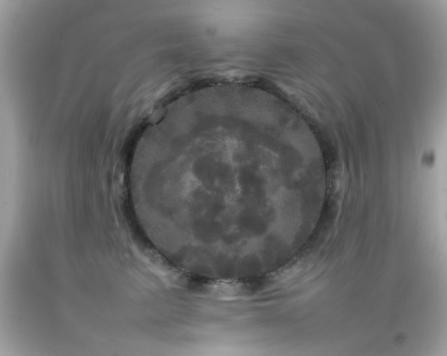 X0000092090615200709121514