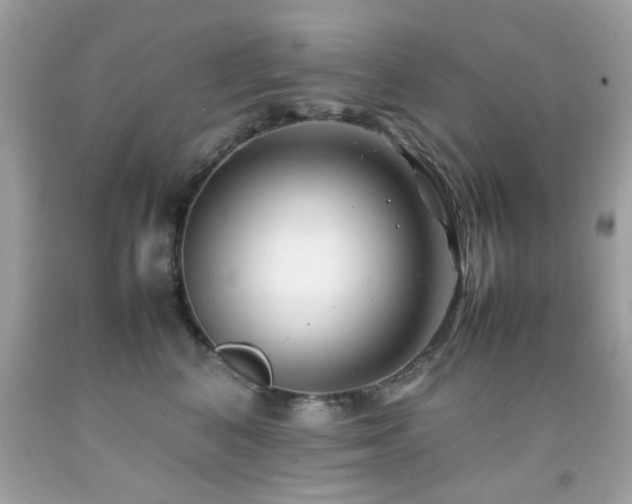 X0000092090616200709121514