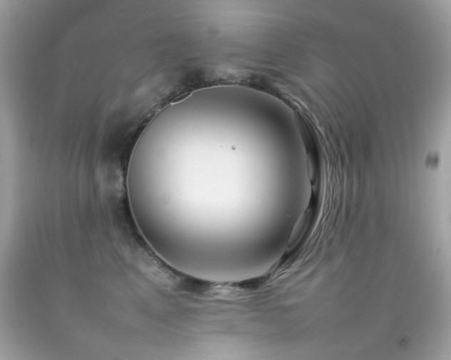 X0000092090617200709121514