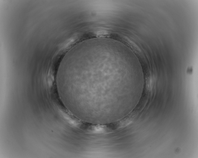 X0000092090618200709121514