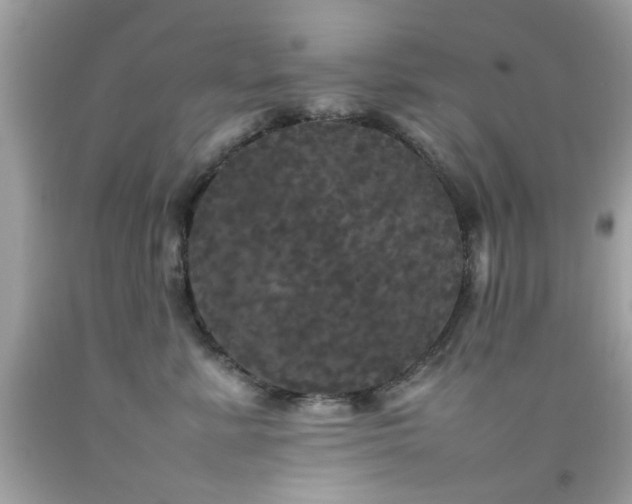 X0000092090619200709121514