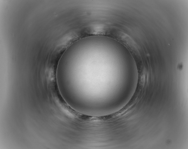X0000092090620200709121514